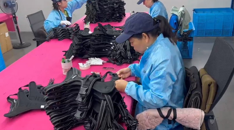 米兰milan宠物，无处不在